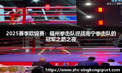 2025赛季欧锦赛：福州拳击队迎战南宁拳击队的冠军之路之夜